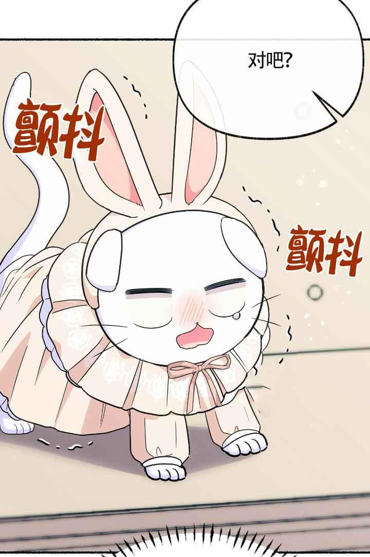 成了每晚和偏执暴君共眠的猫 - 第16话 - 第14张图
