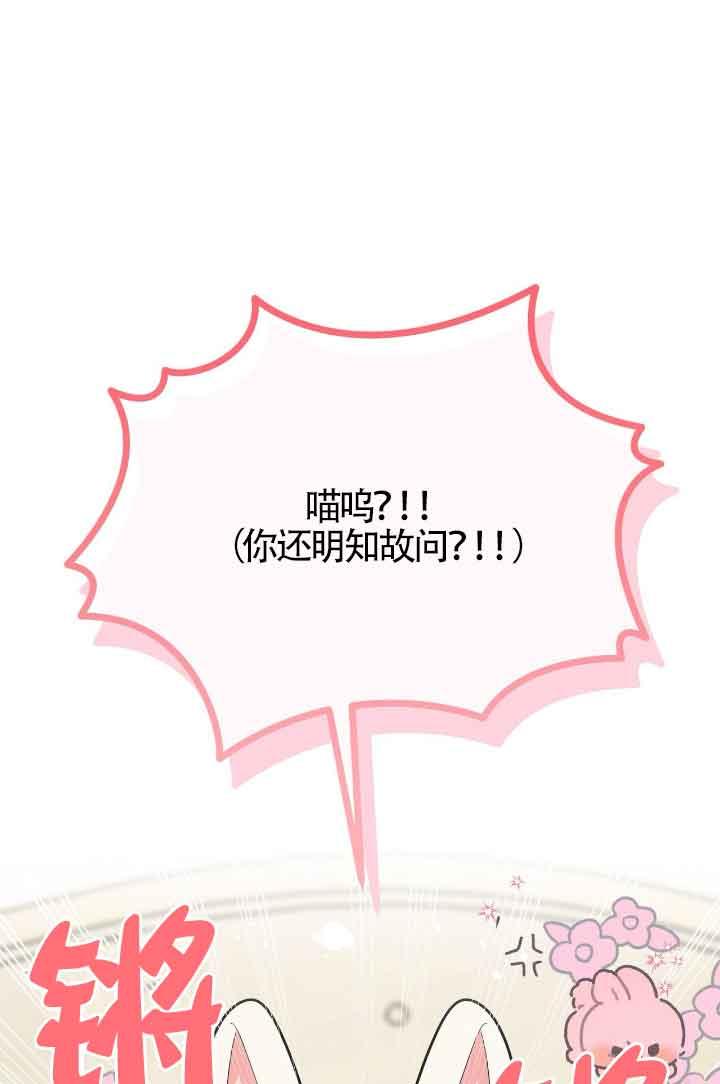 成了每晚和偏执暴君共眠的猫 - 第16话 - 第10张图