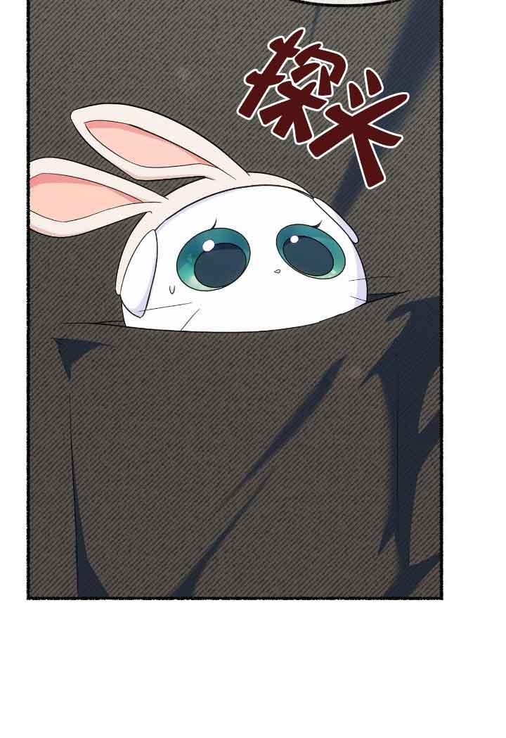 成了每晚和偏执暴君共眠的猫 - 第16话 - 第63张图