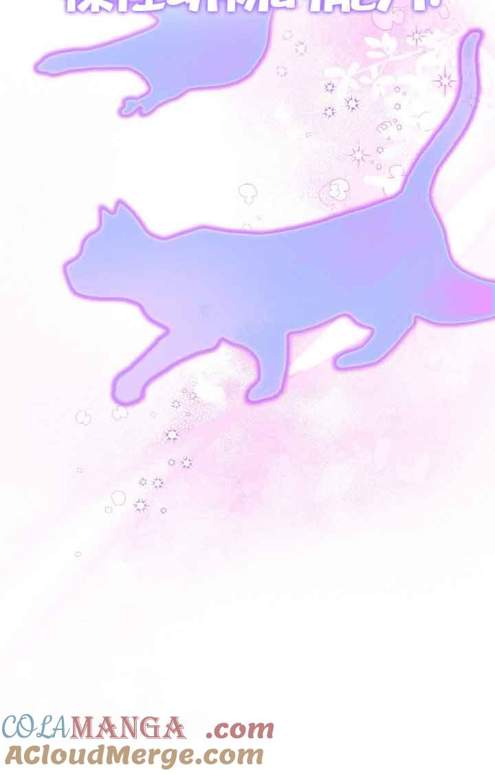 成了每晚和偏执暴君共眠的猫 - 第17话 - 第69张图