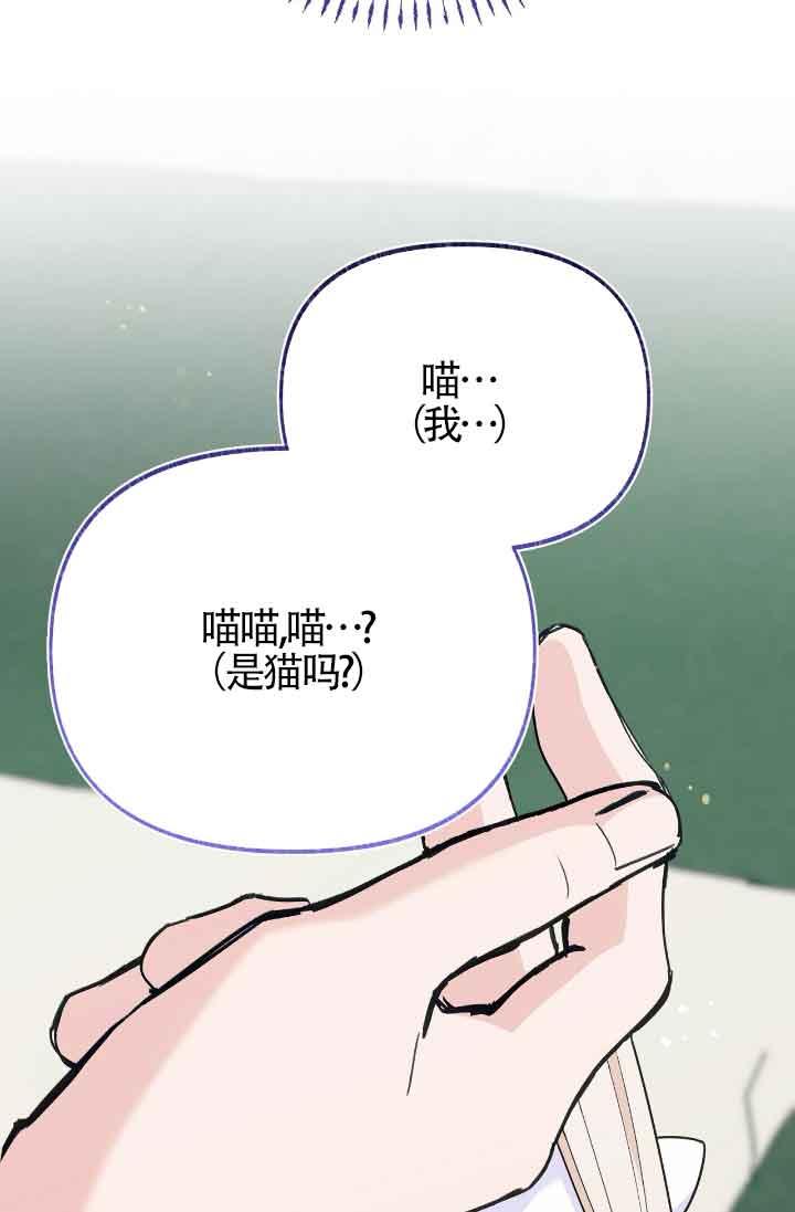 成了每晚和偏执暴君共眠的猫 - 第17话 - 第99张图