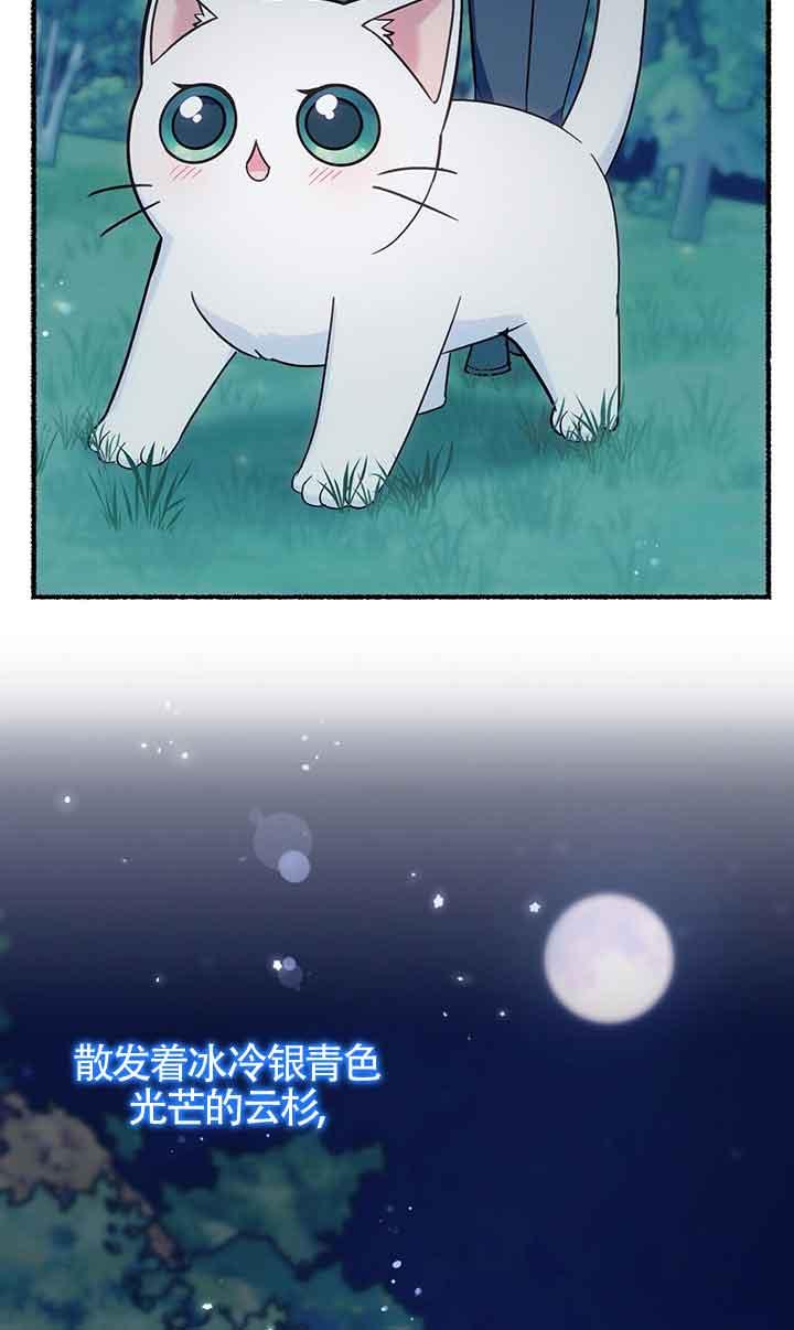 成了每晚和偏执暴君共眠的猫 - 第18话 - 第53张图