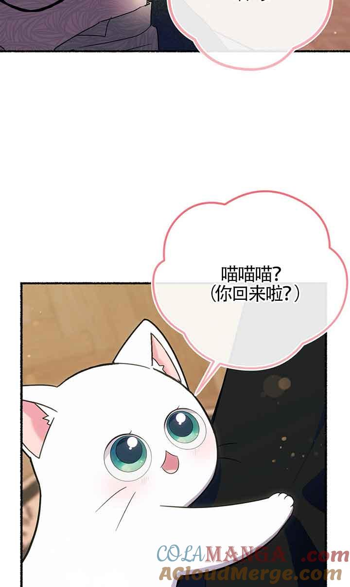 成了每晚和偏执暴君共眠的猫 - 第18话 - 第43张图