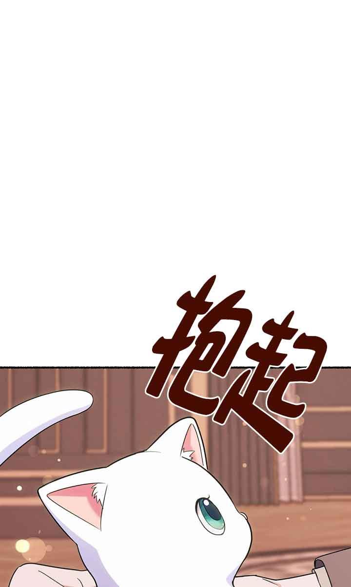 成了每晚和偏执暴君共眠的猫 - 第18话 - 第47张图