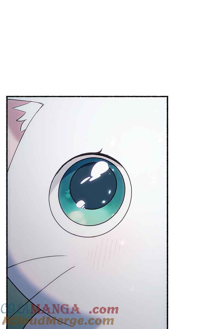 成了每晚和偏执暴君共眠的猫 - 第18话 - 第91张图