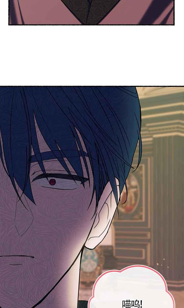 成了每晚和偏执暴君共眠的猫 - 第18话 - 第42张图