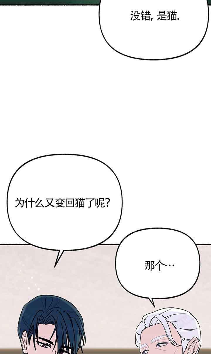 成了每晚和偏执暴君共眠的猫 - 第18话 - 第2张图