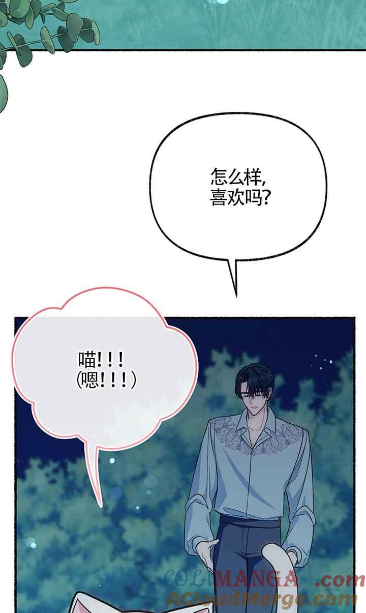 成了每晚和偏执暴君共眠的猫 - 第18话 - 第52张图