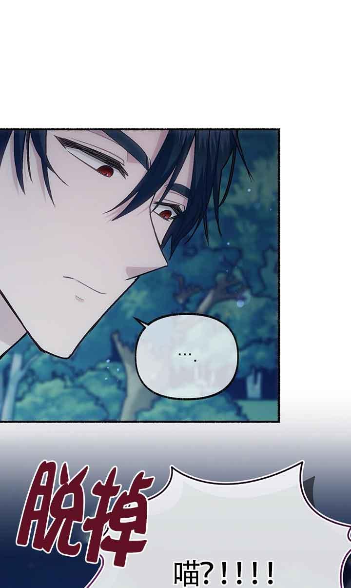 成了每晚和偏执暴君共眠的猫 - 第18话 - 第72张图