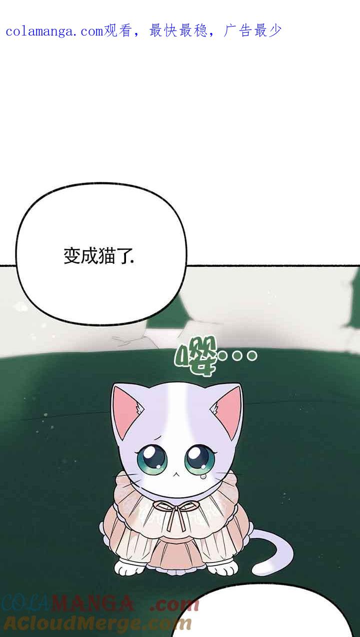 成了每晚和偏执暴君共眠的猫 - 第18话 - 第1张图