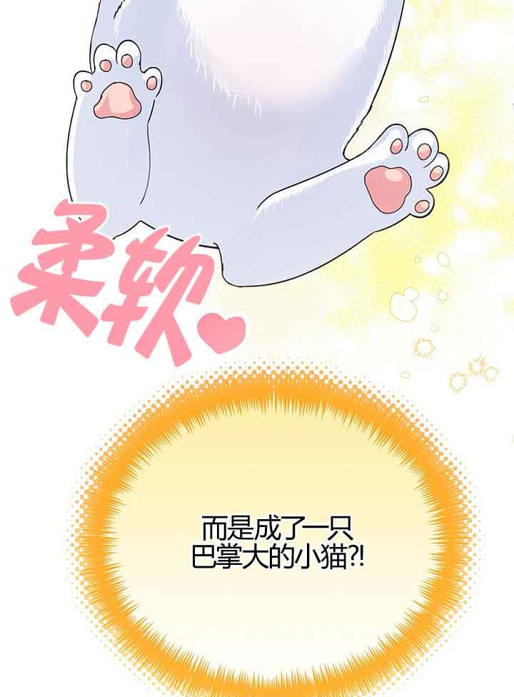 成了每晚和偏执暴君共眠的猫 - 第01话 - 第38张图