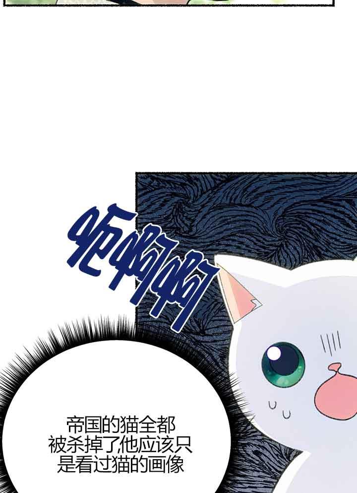 成了每晚和偏执暴君共眠的猫 - 第01话 - 第90张图