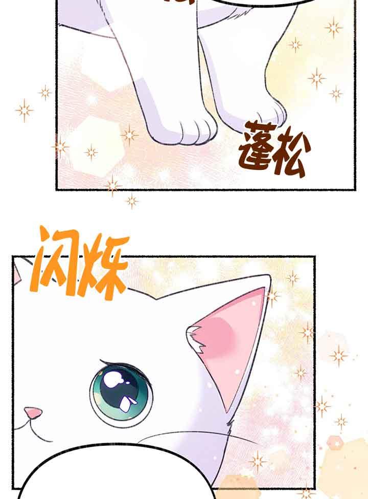 成了每晚和偏执暴君共眠的猫 - 第01话 - 第112张图
