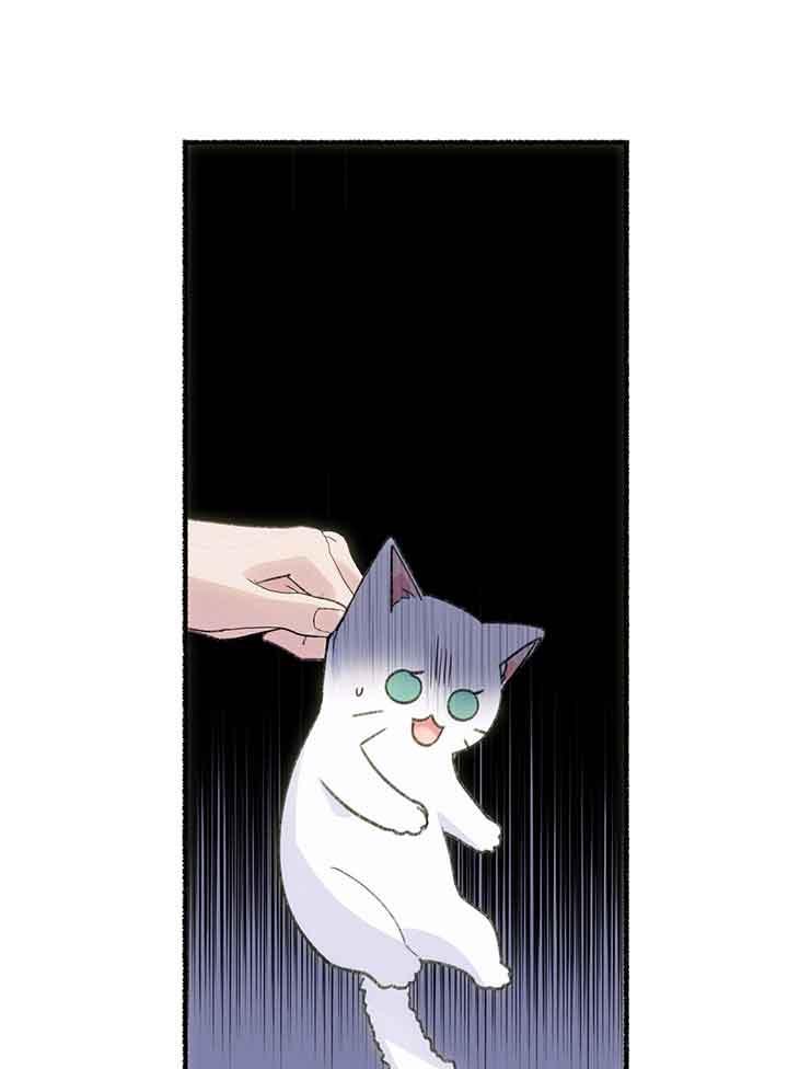 成了每晚和偏执暴君共眠的猫 - 第01话 - 第28张图