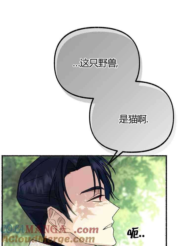 成了每晚和偏执暴君共眠的猫 - 第01话 - 第89张图