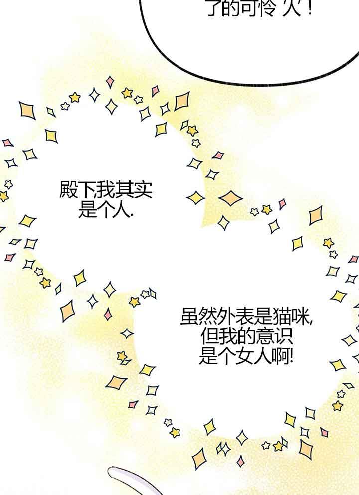 成了每晚和偏执暴君共眠的猫 - 第01话 - 第86张图