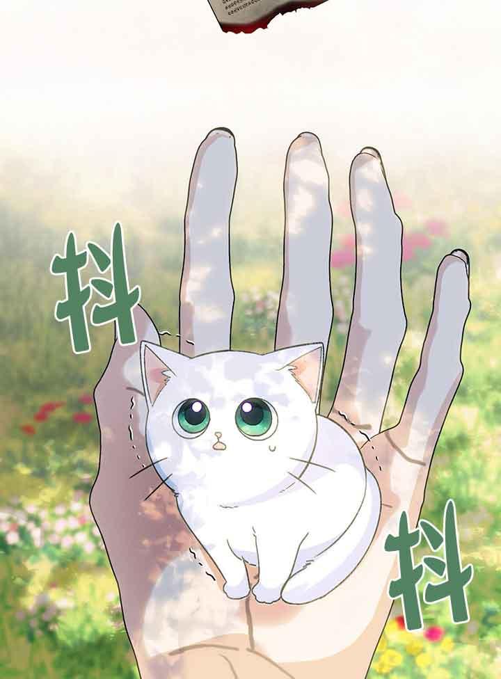 成了每晚和偏执暴君共眠的猫 - 第01话 - 第64张图