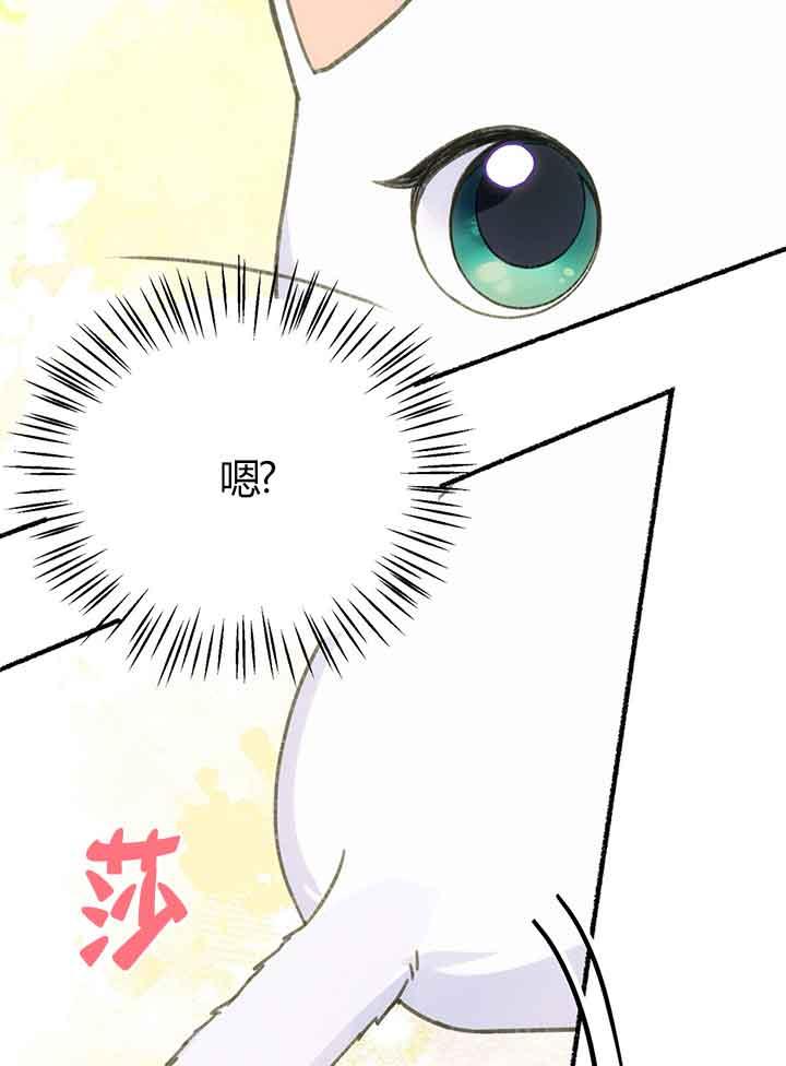 成了每晚和偏执暴君共眠的猫 - 第01话 - 第26张图