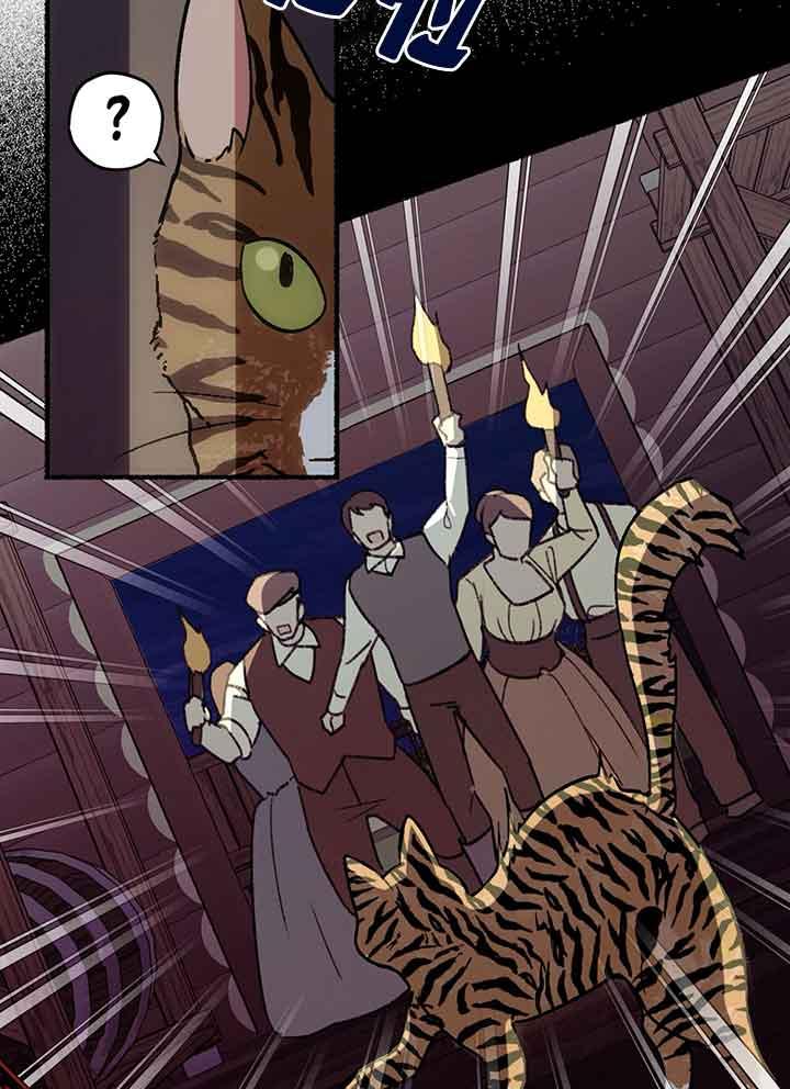 成了每晚和偏执暴君共眠的猫 - 第01话 - 第56张图