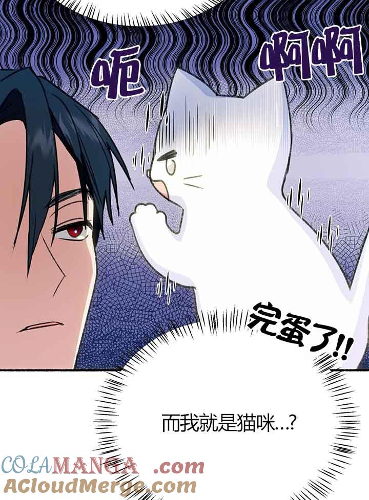 成了每晚和偏执暴君共眠的猫 - 第01话 - 第61张图