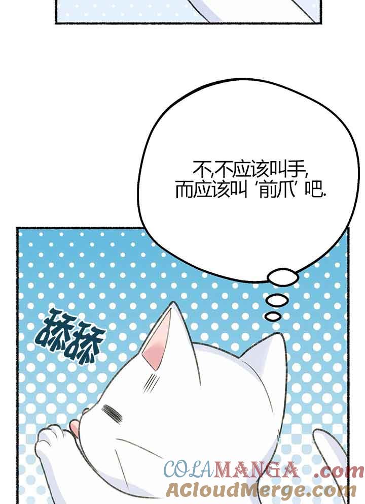 成了每晚和偏执暴君共眠的猫 - 第01话 - 第41张图