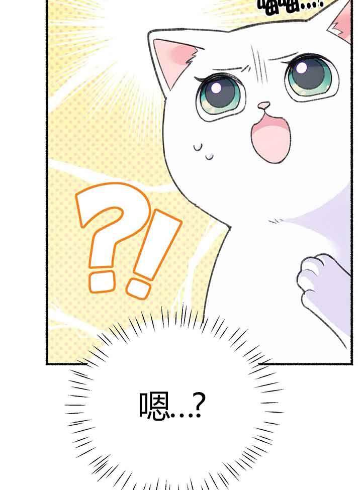 成了每晚和偏执暴君共眠的猫 - 第01话 - 第119张图