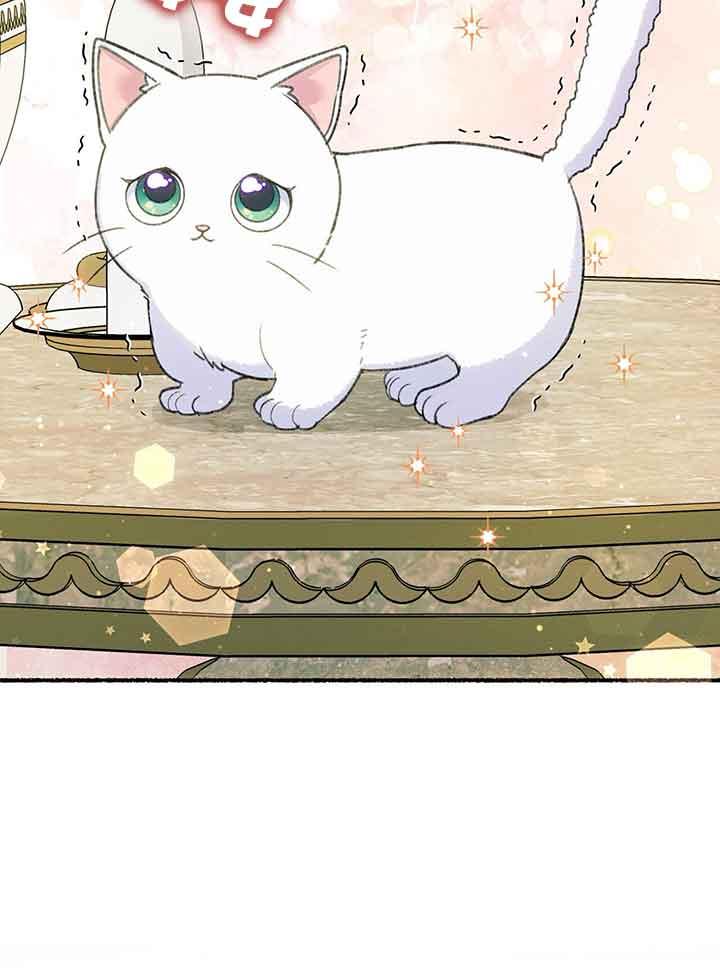 成了每晚和偏执暴君共眠的猫 - 第01话 - 第115张图