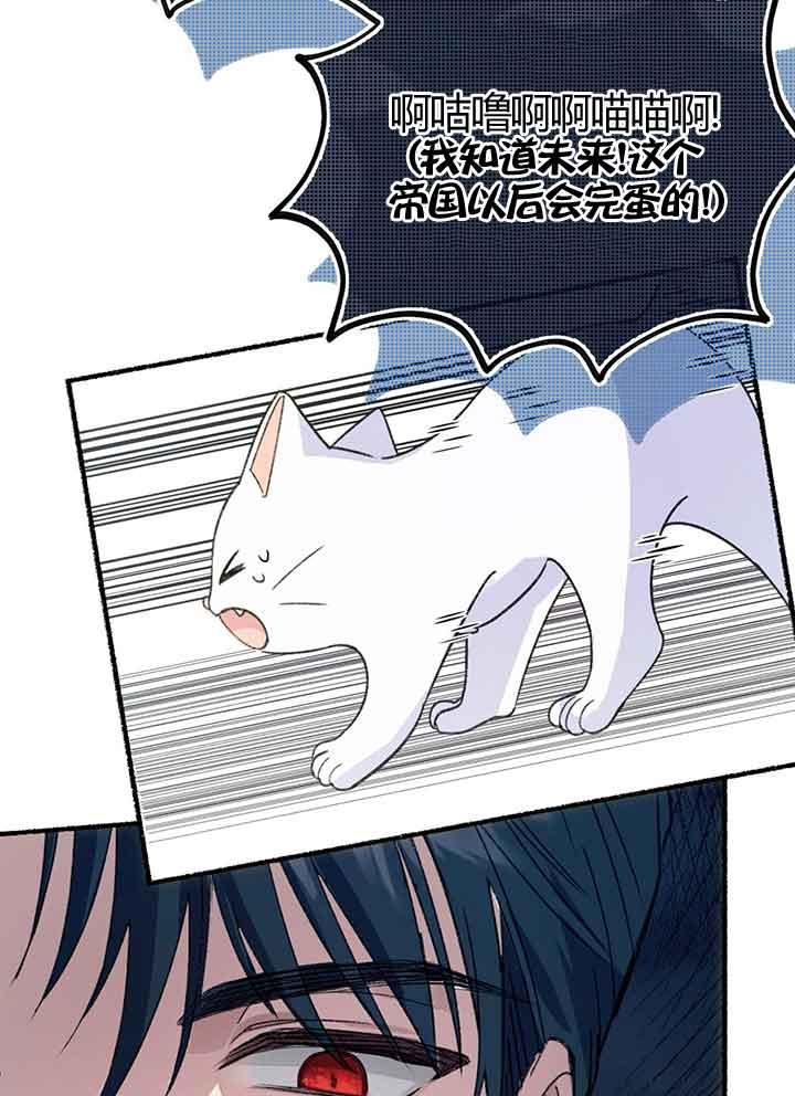 成了每晚和偏执暴君共眠的猫 - 第01话 - 第92张图