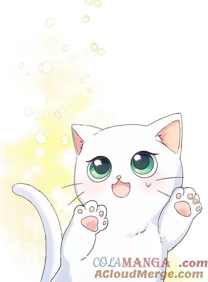 成了每晚和偏执暴君共眠的猫 - 第01话 - 第37张图