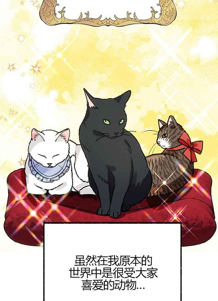 成了每晚和偏执暴君共眠的猫 - 第01话 - 第43张图
