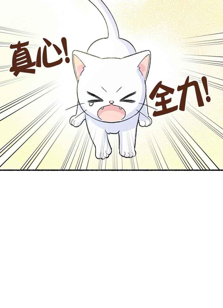 成了每晚和偏执暴君共眠的猫 - 第01话 - 第87张图