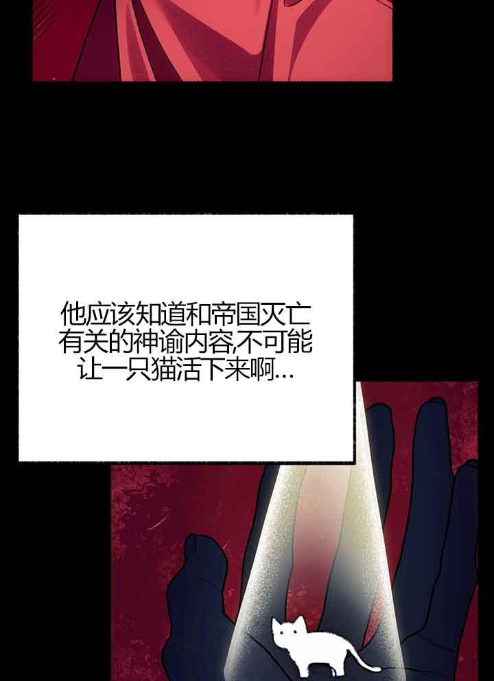 成了每晚和偏执暴君共眠的猫 - 第01话 - 第83张图