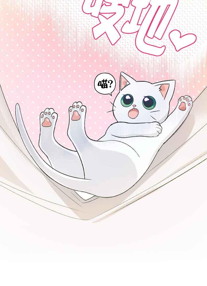 成了每晚和偏执暴君共眠的猫 - 第01话 - 第94张图