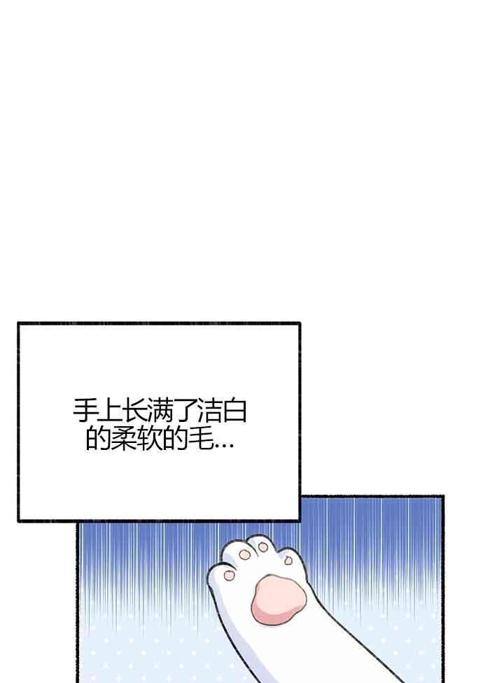 成了每晚和偏执暴君共眠的猫 - 第01话 - 第40张图