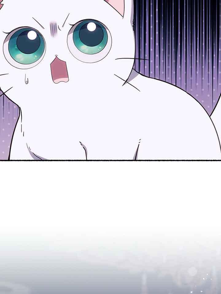 成了每晚和偏执暴君共眠的猫 - 第19话 - 第24张图