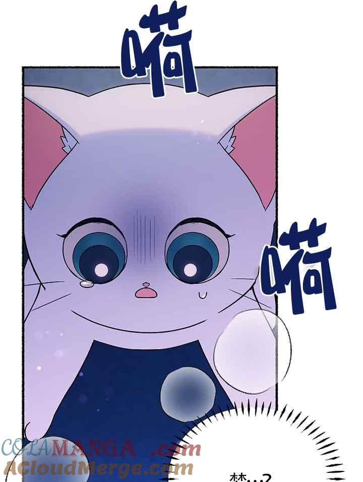 成了每晚和偏执暴君共眠的猫 - 第19话 - 第57张图