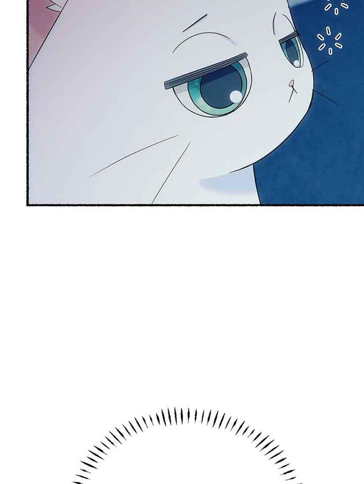 成了每晚和偏执暴君共眠的猫 - 第19话 - 第38张图