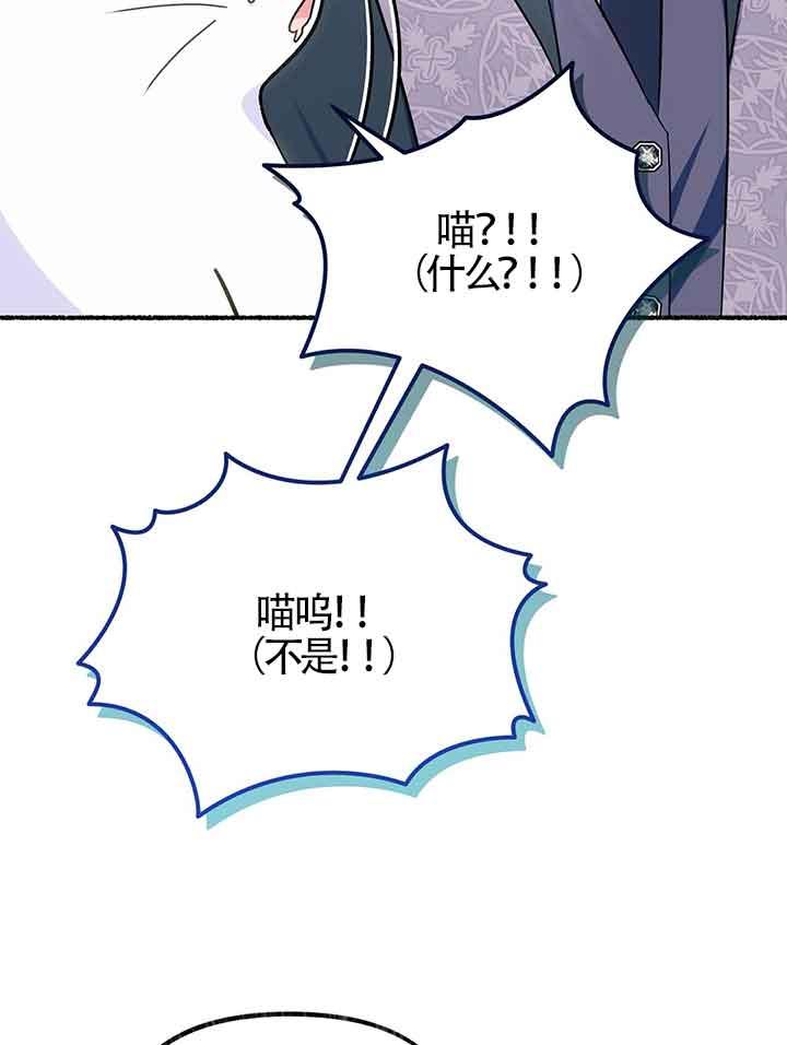 成了每晚和偏执暴君共眠的猫 - 第19话 - 第84张图
