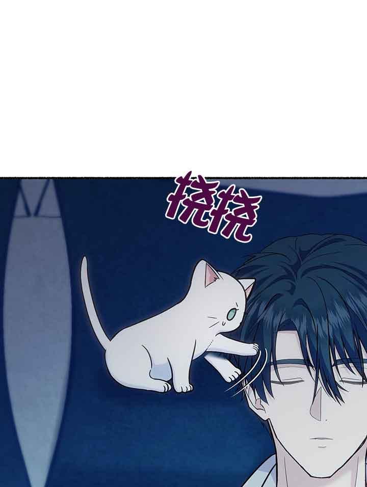 成了每晚和偏执暴君共眠的猫 - 第19话 - 第35张图