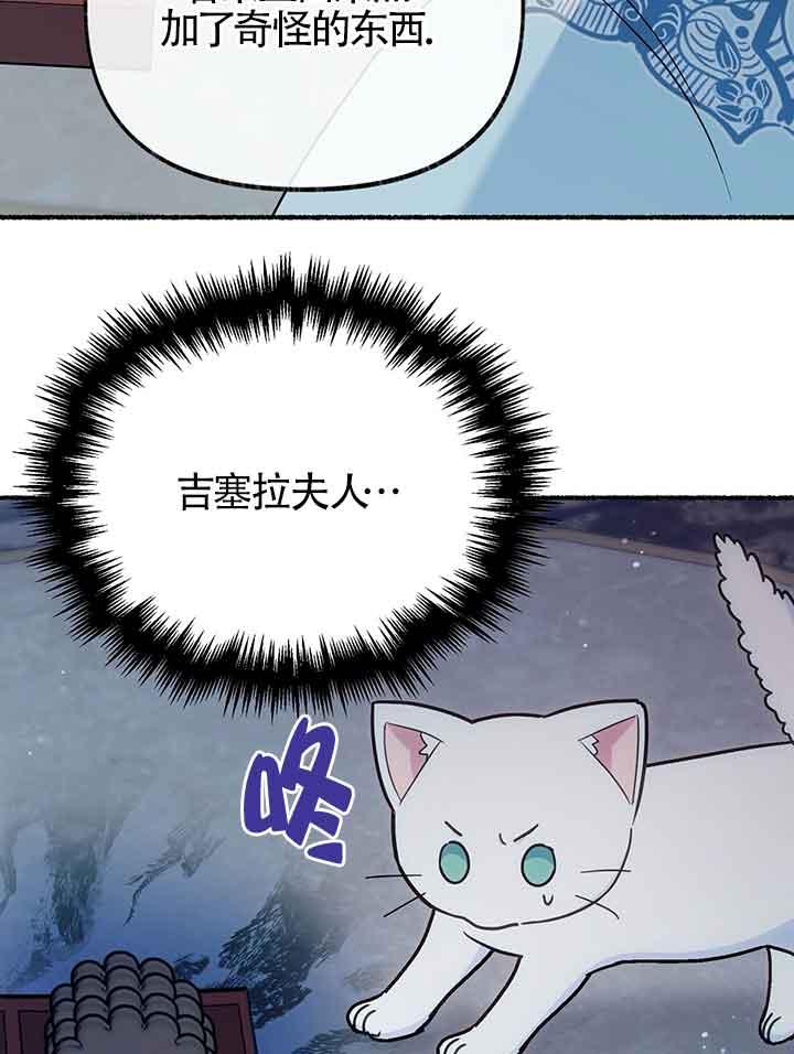 成了每晚和偏执暴君共眠的猫 - 第19话 - 第11张图