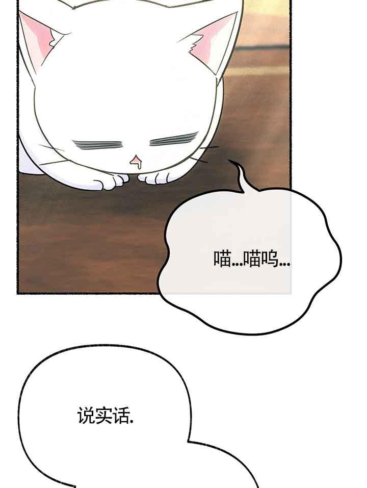 成了每晚和偏执暴君共眠的猫 - 第19话 - 第82张图