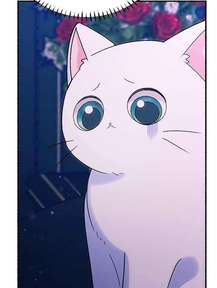 成了每晚和偏执暴君共眠的猫 - 第19话 - 第63张图