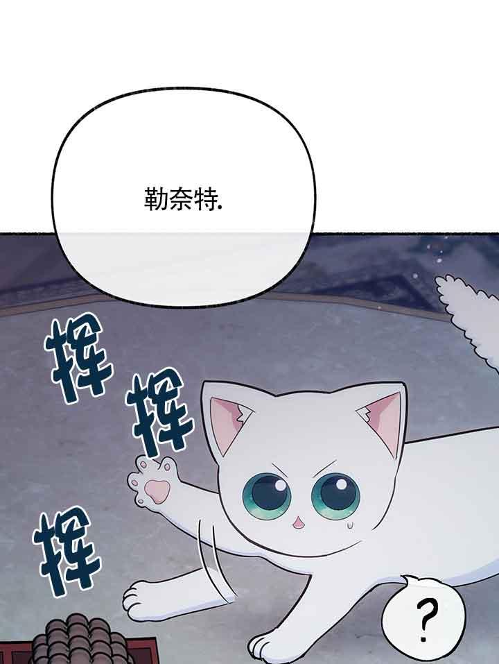成了每晚和偏执暴君共眠的猫 - 第19话 - 第14张图