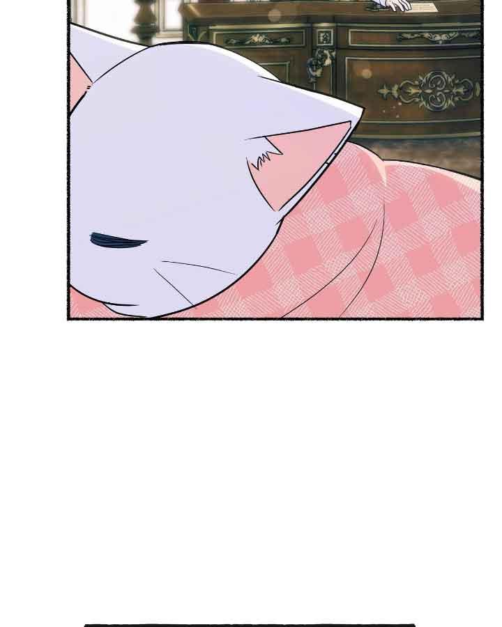 成了每晚和偏执暴君共眠的猫 - 第20话 - 第38张图