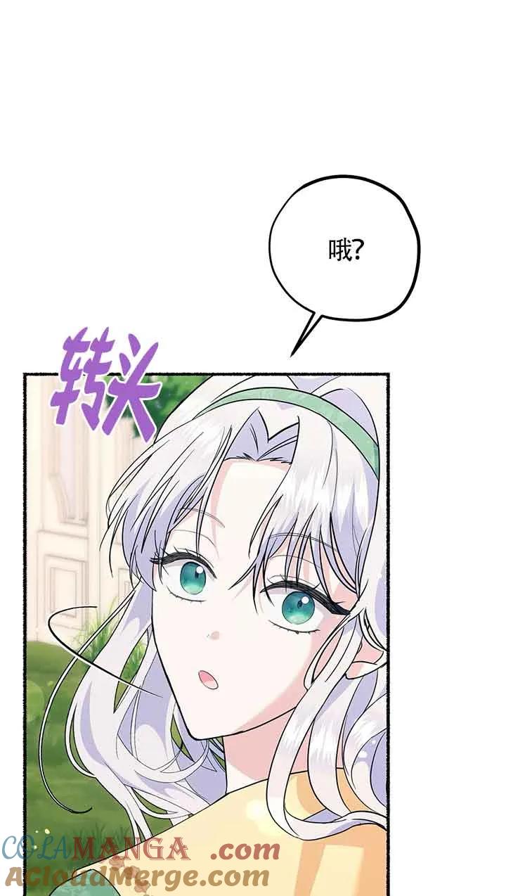 成了每晚和偏执暴君共眠的猫 - 第25话 - 第13张图