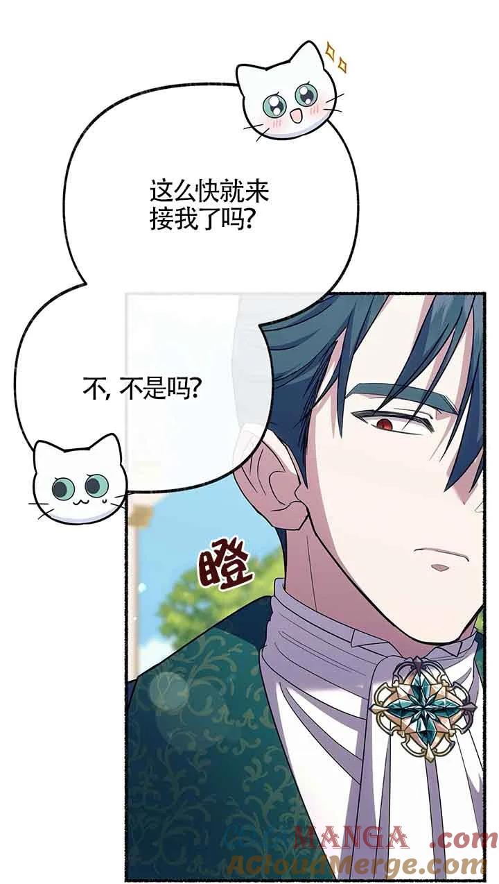 成了每晚和偏执暴君共眠的猫 - 第25话 - 第17张图
