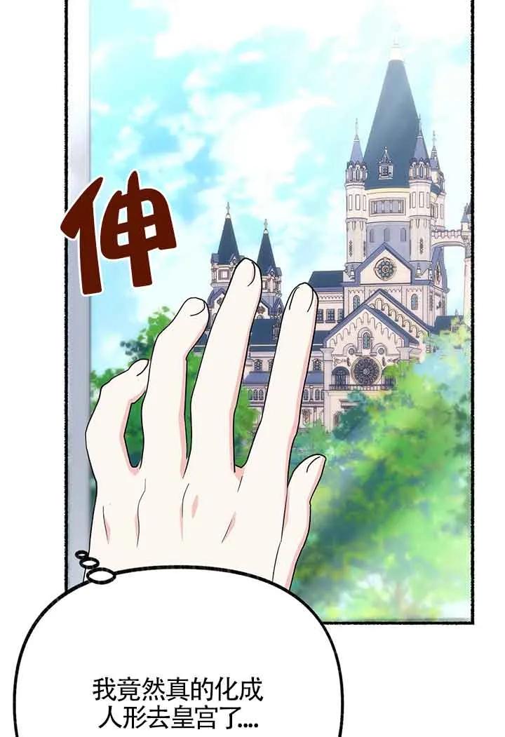 成了每晚和偏执暴君共眠的猫 - 第27话 - 第40张图