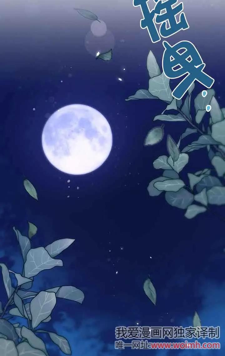 成了每晚和偏执暴君共眠的猫 - 第28话 - 第84张图