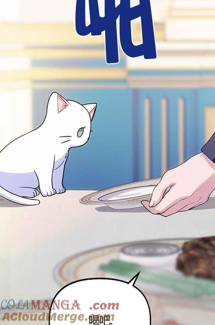 成了每晚和偏执暴君共眠的猫 - 第02话 - 第33张图