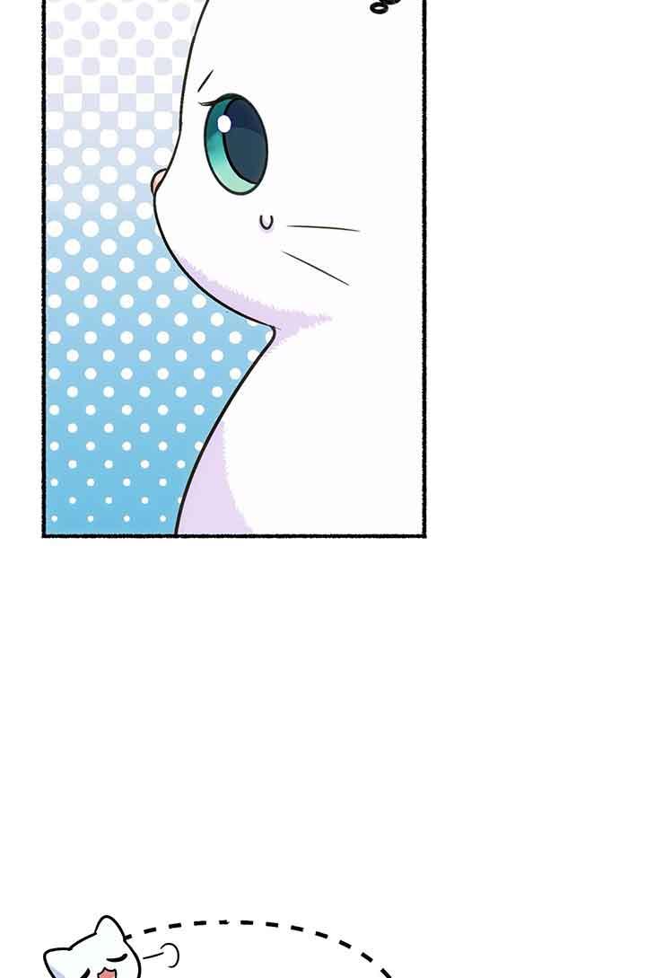 成了每晚和偏执暴君共眠的猫 - 第02话 - 第22张图